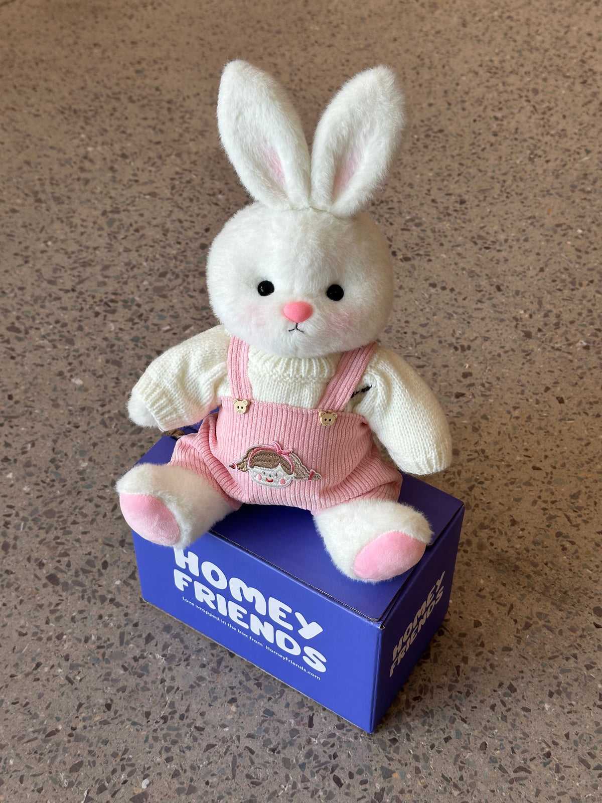 Homeyfriends Cute Jointed Bunny With Pink Overalls Outfit
