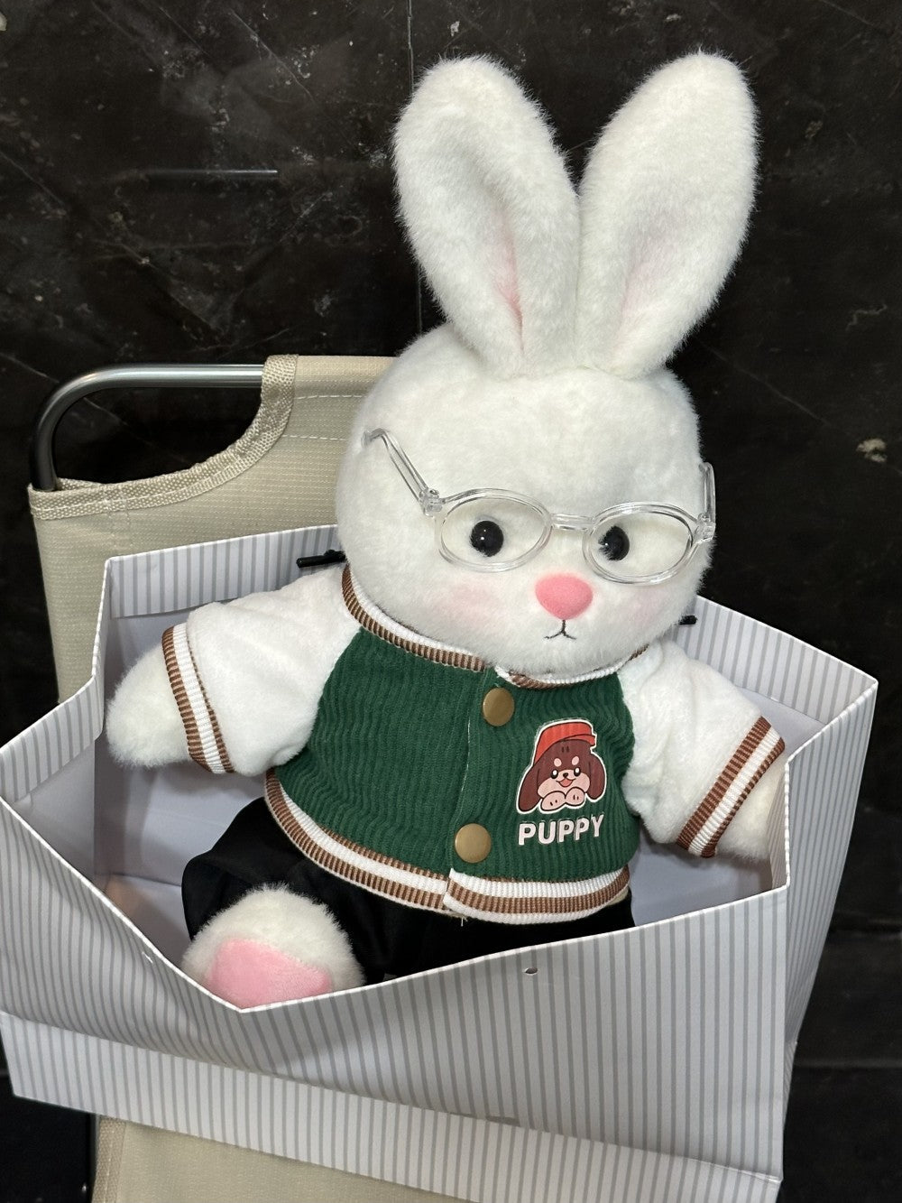 Homeyfriends Cute Jointed Bunny With  Green Puppy Jacket