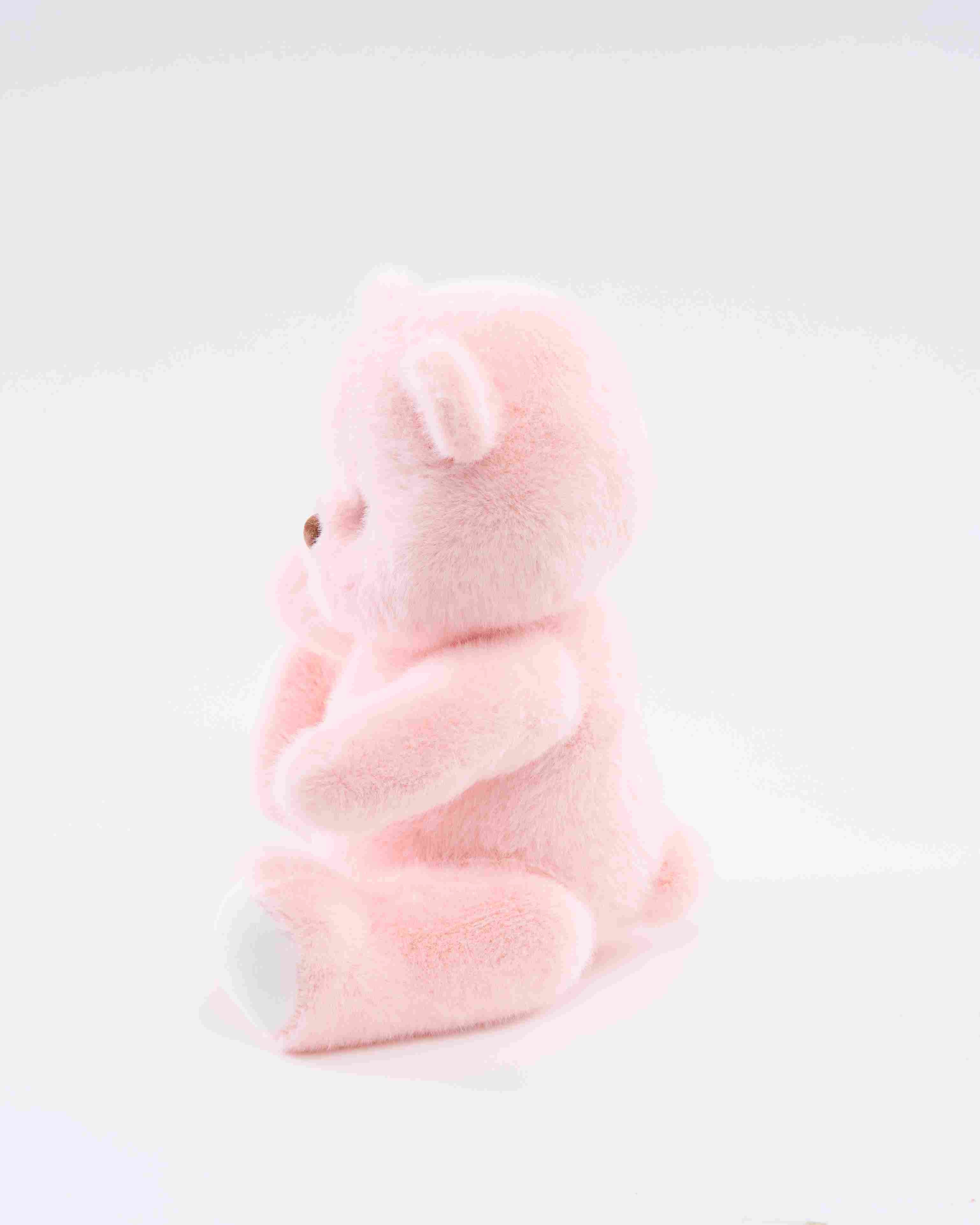 Homeyfriends Pink Bear