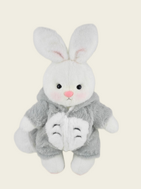 Homeyfriends Cute Jointed Bunny With Totoro Outfit