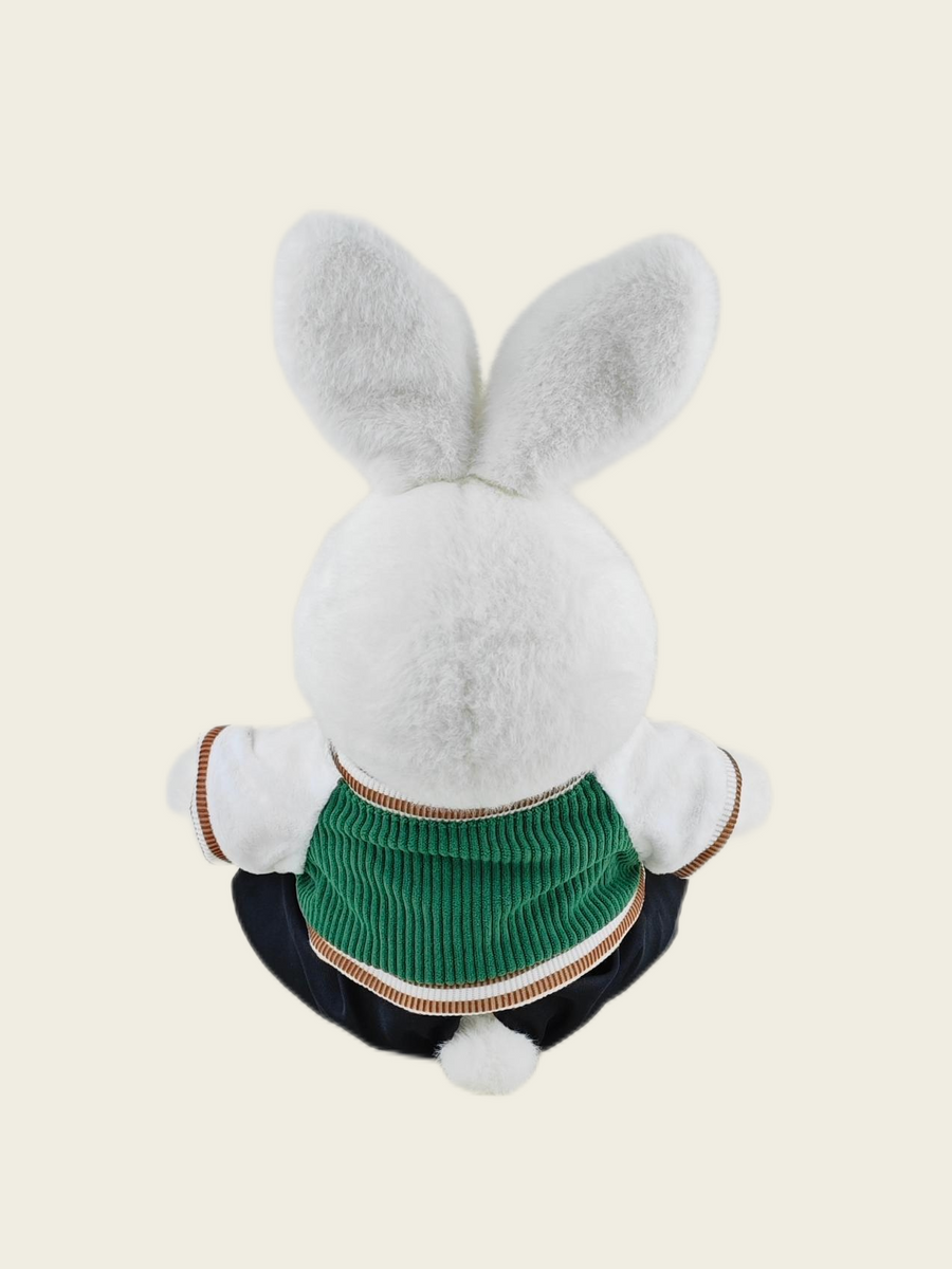 Homeyfriends Cute Jointed Bunny with Green Puppy Jacket